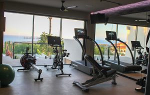 Home Gym With Wide Shot Machines with Cabo Arch View